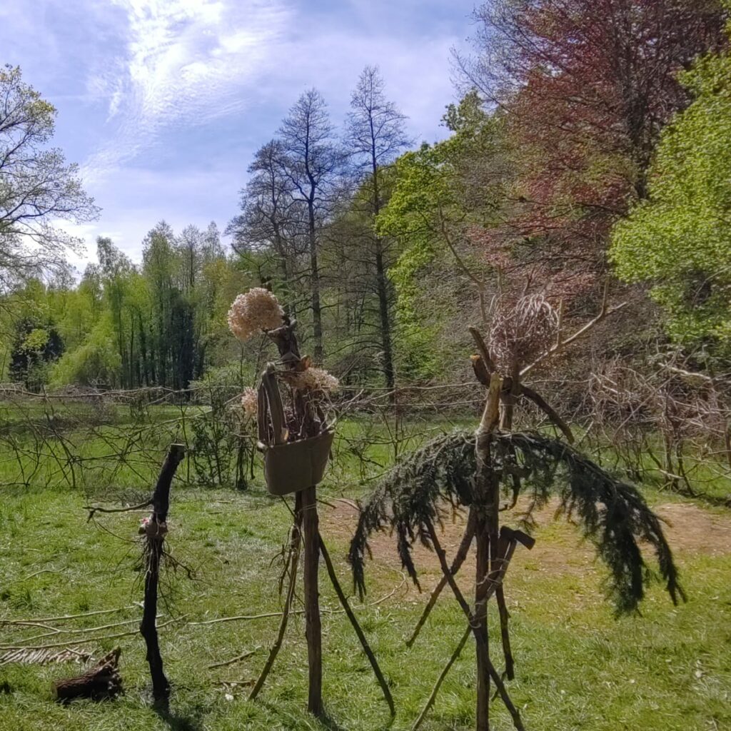 plante chamanisme celtique